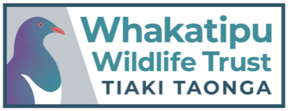 Whakatipu Wildlife Trust &mdash; Tiaki Taonga supporter